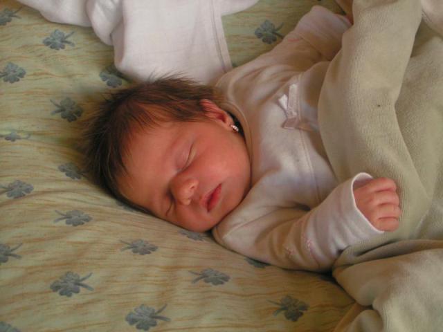 PICT5368.JPG