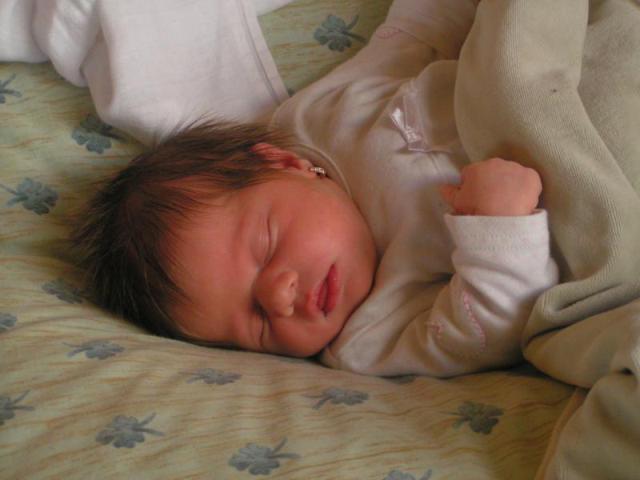 PICT5370.JPG