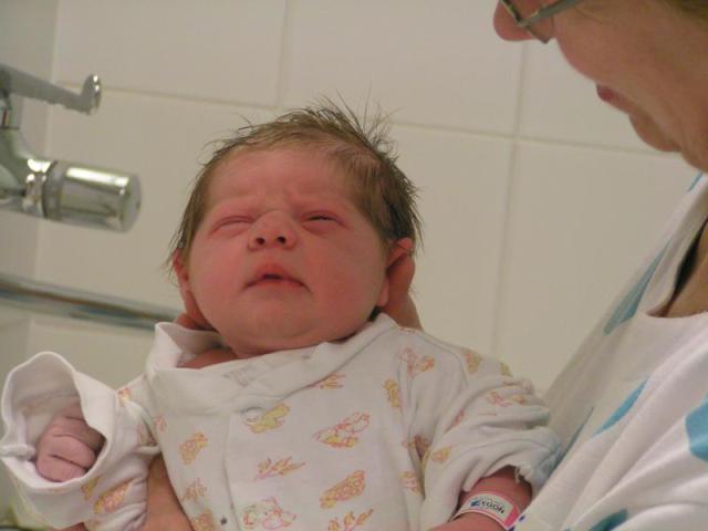 PICT5347.JPG