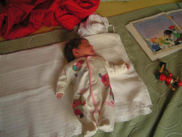 PICT5366.JPG