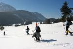 Schneeberg hótalpas túra