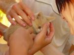 DSC05415.JPG