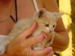 DSC05416.JPG