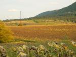 DSC05419.JPG
