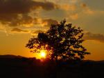 DSC05433.JPG