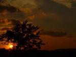 DSC05434.JPG