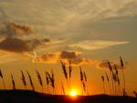 DSC05437.JPG