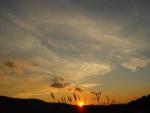 DSC05438.JPG