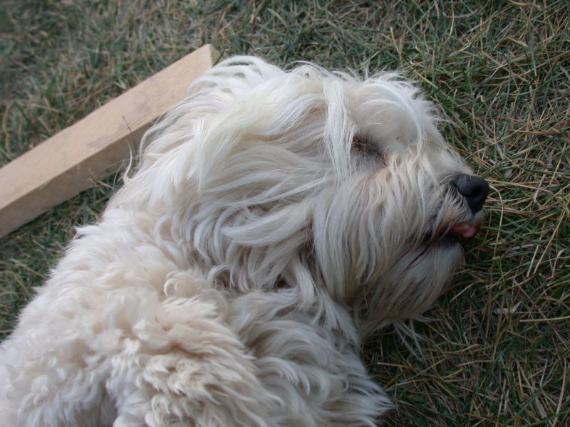 DSCN9314.JPG