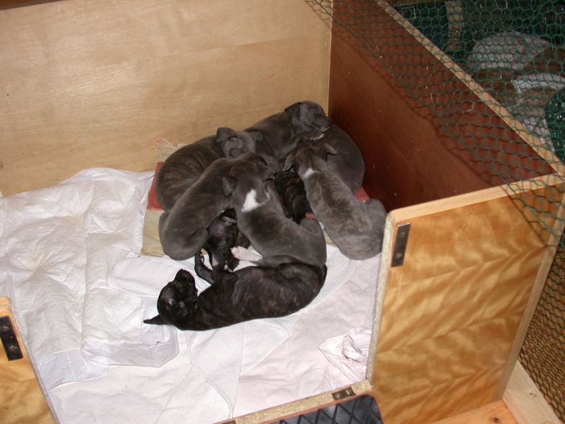 DSCN9315.JPG
