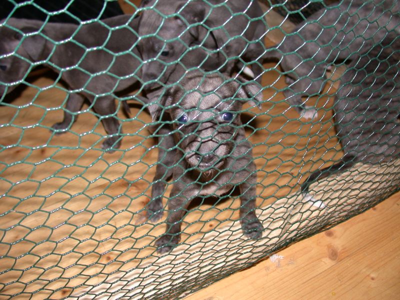 DSCN9327.JPG