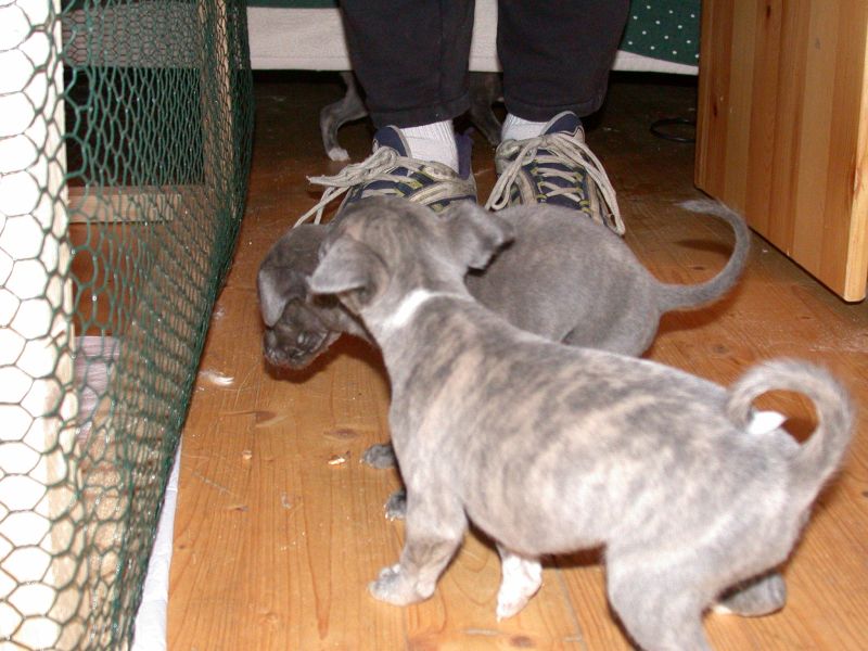 DSCN9345.JPG
