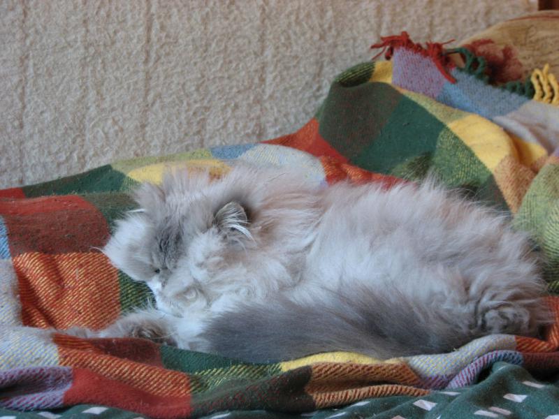foto 005.jpg