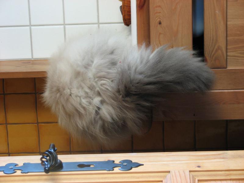 foto 017.jpg