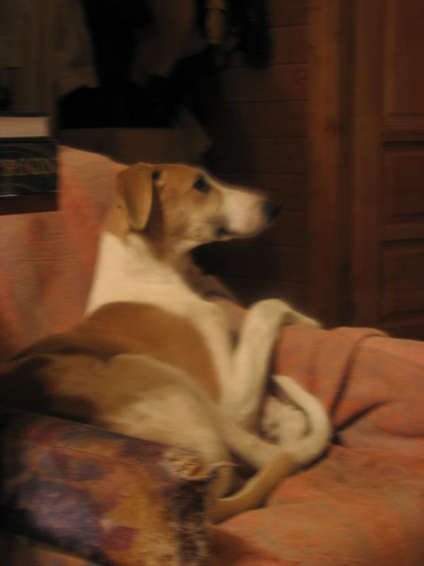 foto 045.jpg