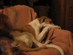 foto 062.jpg