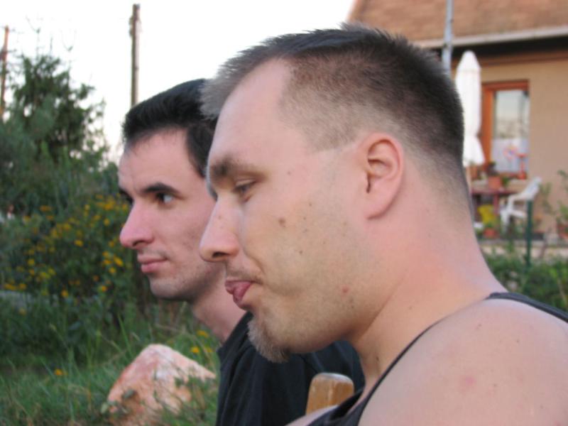 Picture 413.jpg