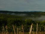 DSC05724.JPG