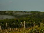 DSC05725.JPG