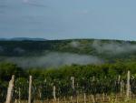 DSC05726.JPG