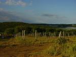 DSC05727.JPG