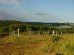 DSC05728.JPG