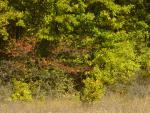 DSC06405.JPG