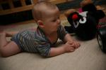 IMG_3675.JPG