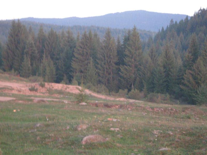 Erdély 2009 009.jpg