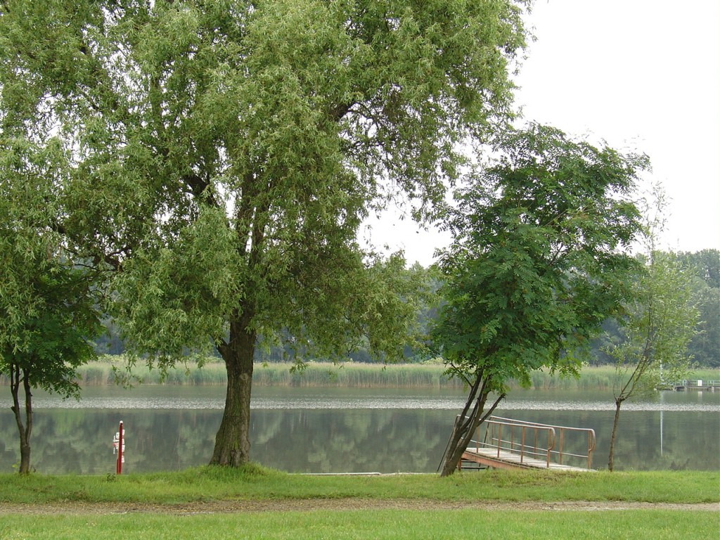 DSC01614.JPG