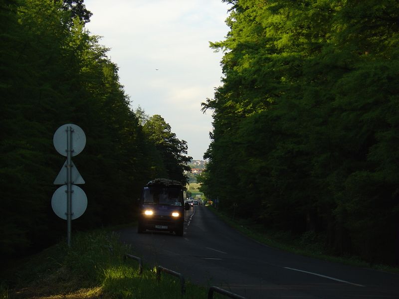 DSC02071.JPG