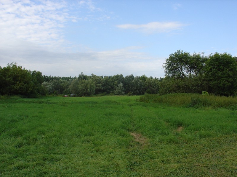 DSC02148.JPG