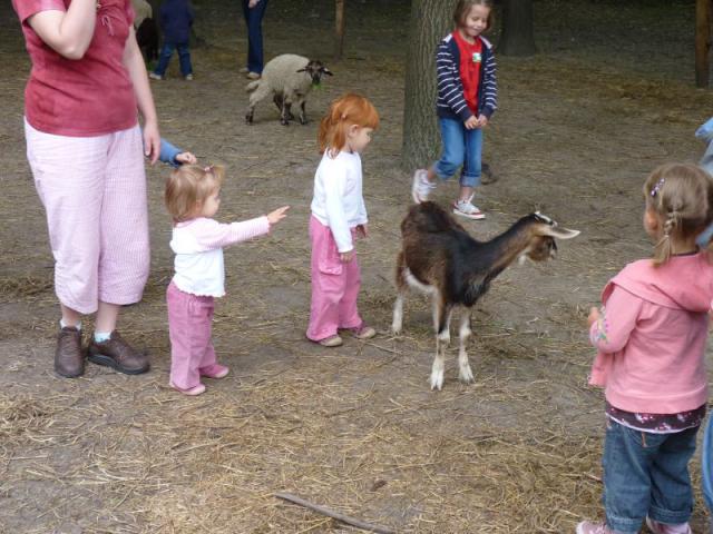 P1010327.JPG