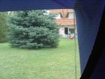 DSC02428.JPG