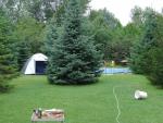 DSC02431.JPG