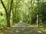DSC02778.JPG