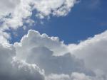 DSC02787.JPG