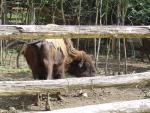 DSC02799.JPG