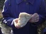 DSC03544.JPG