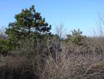 DSC03580.JPG