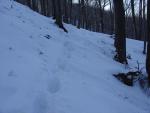 DSC03666.JPG