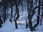DSC03671.JPG