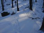 DSC03673.JPG