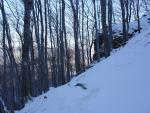 DSC03684.JPG