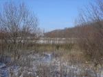 DSC03713.JPG