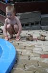 IMG_7755.JPG