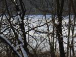 DSC03740.JPG