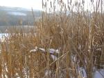 DSC03749.JPG