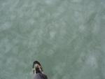 DSC03874.JPG