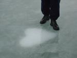DSC03875.JPG
